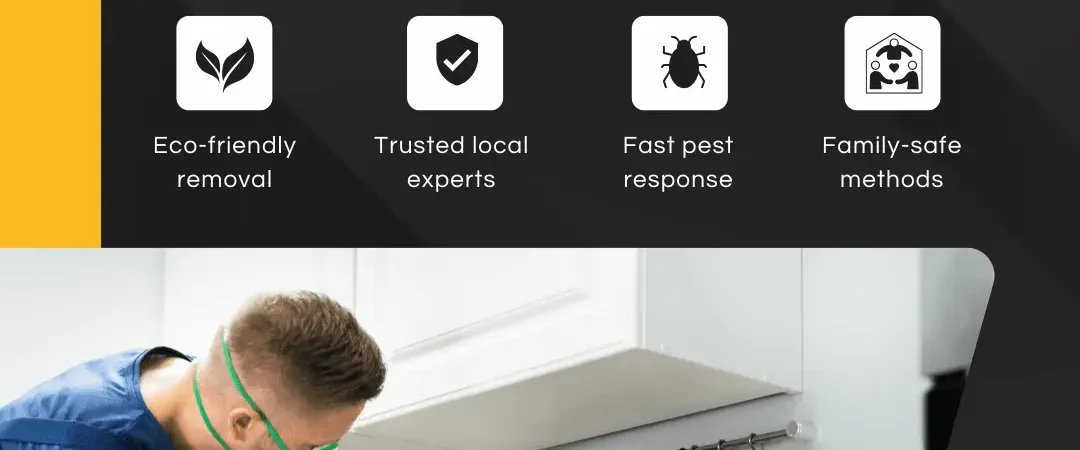 Termite company Near me