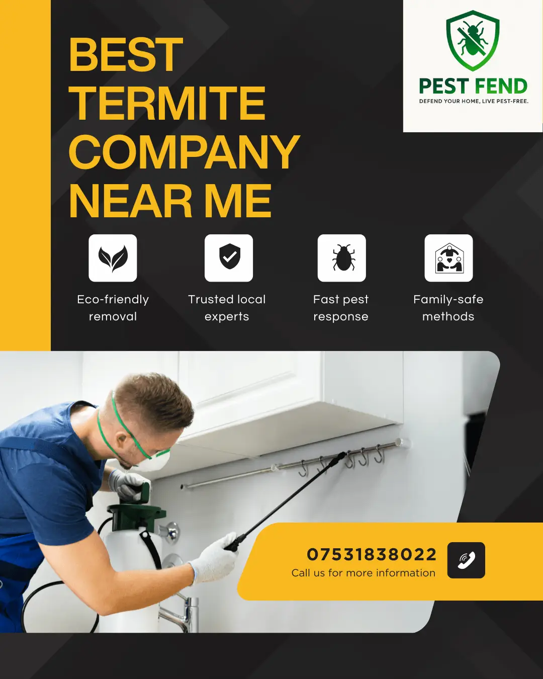 Termite company Near me