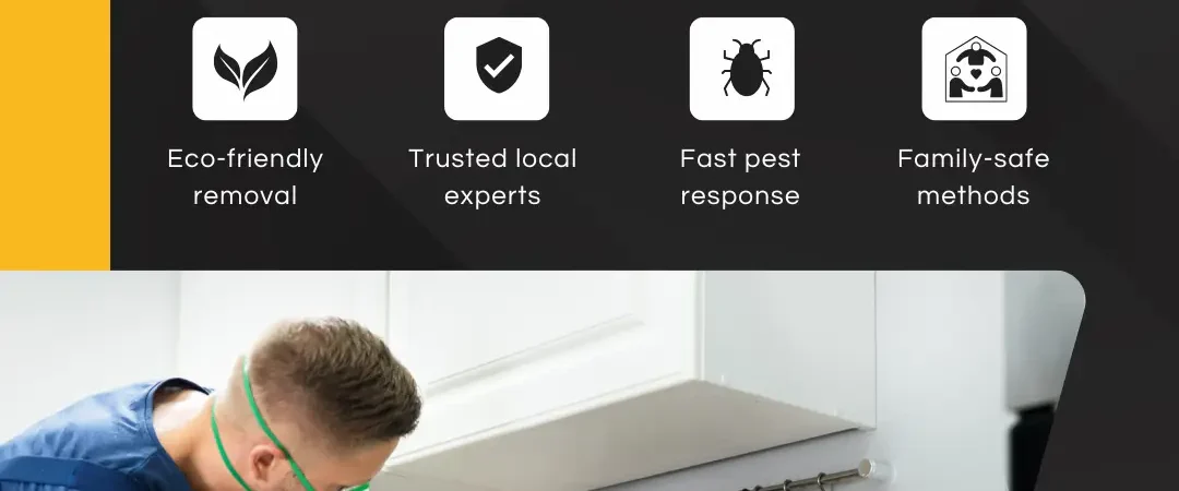Best Pest Control Company in Delhi