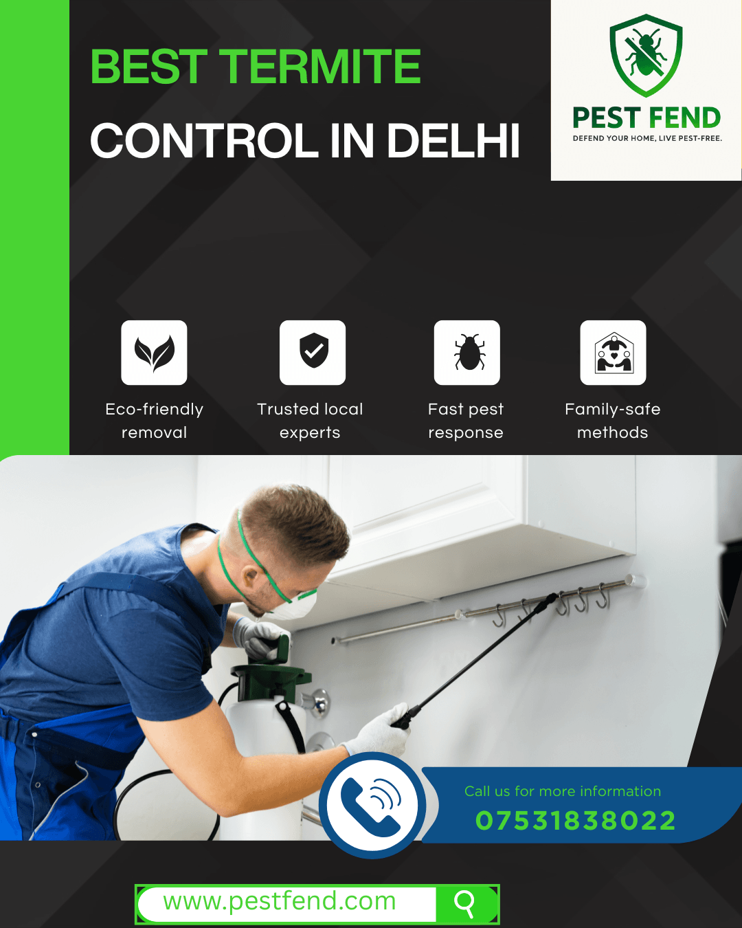 Best Termite Control in Delhi