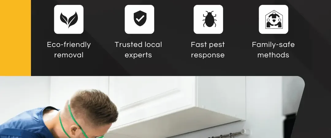 professional termite treatment