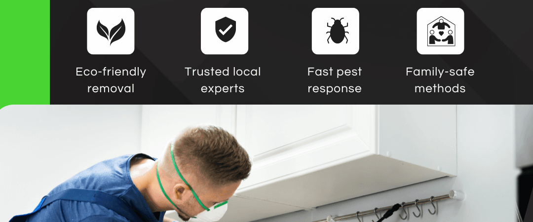 Termite Control Services in Delhi
