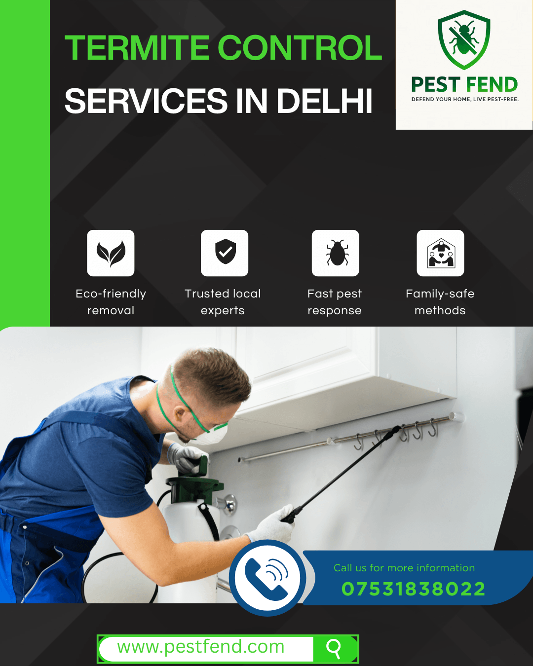 Termite Control Services in Delhi