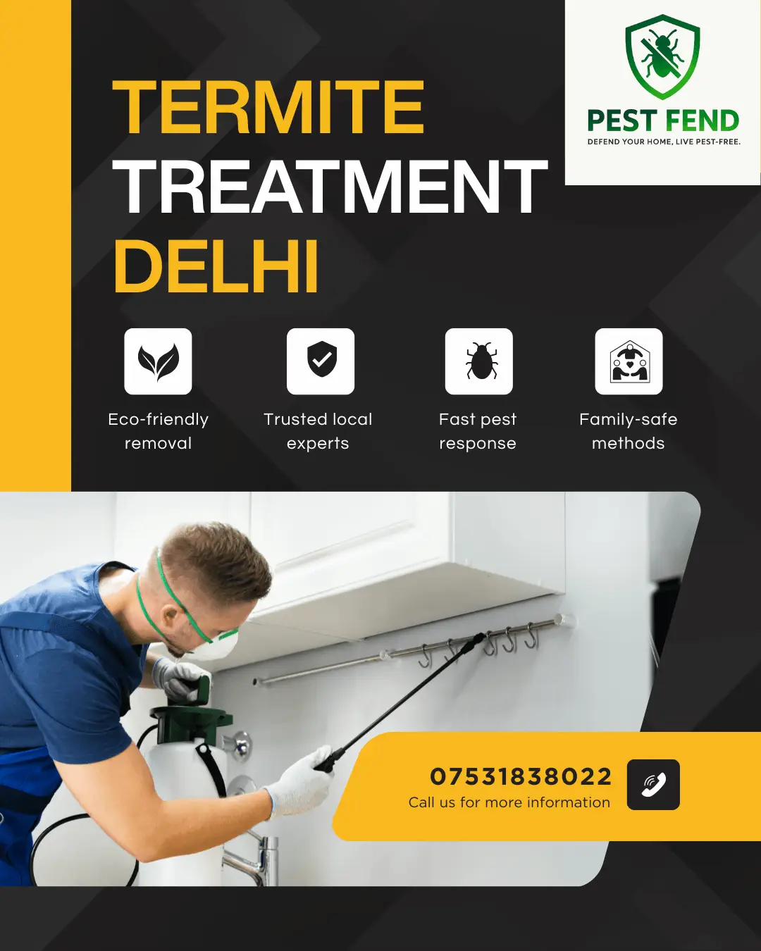 Termite Treatment Delhi