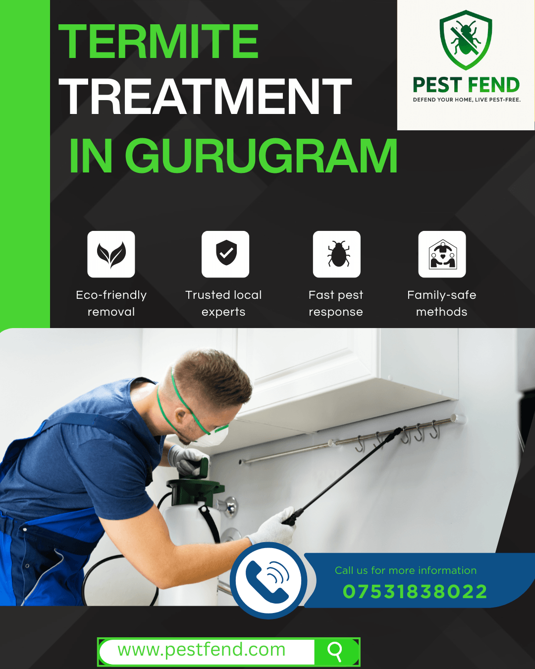 Termite Treatment in Gurgaon